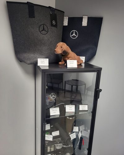 Serwis Mercedes Lubelskie